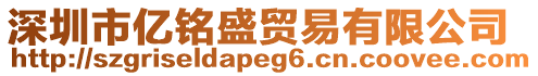 深圳市億銘盛貿(mào)易有限公司