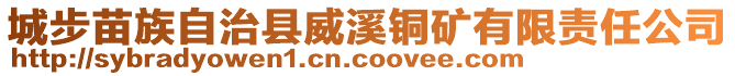 城步苗族自治縣威溪銅礦有限責(zé)任公司