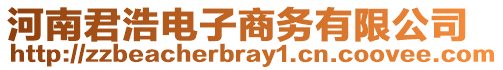 河南君浩電子商務(wù)有限公司