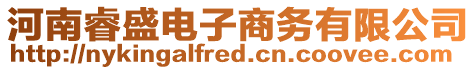河南睿盛電子商務有限公司