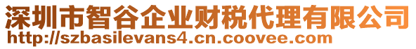 深圳市智谷企業(yè)財(cái)稅代理有限公司