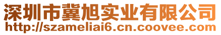 深圳市冀旭實業(yè)有限公司