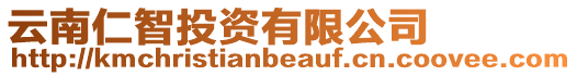云南仁智投資有限公司