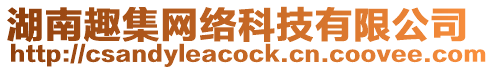湖南趣集網絡科技有限公司