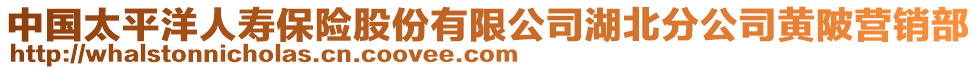 中國太平洋人壽保險股份有限公司湖北分公司黃陂營銷部