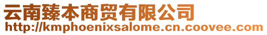 云南臻本商貿有限公司