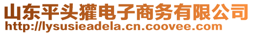 山東平頭獾電子商務(wù)有限公司