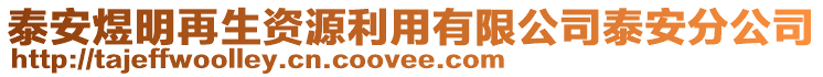 泰安煜明再生資源利用有限公司泰安分公司