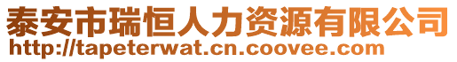 泰安市瑞恒人力資源有限公司
