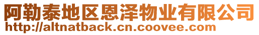 阿勒泰地區(qū)恩澤物業(yè)有限公司