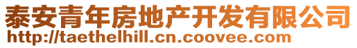 泰安青年房地產(chǎn)開發(fā)有限公司