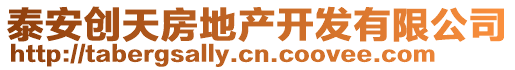 泰安創(chuàng)天房地產(chǎn)開發(fā)有限公司