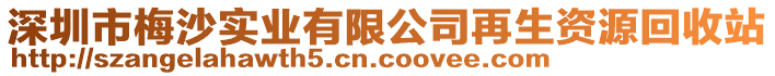 深圳市梅沙實業(yè)有限公司再生資源回收站