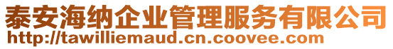 泰安海納企業(yè)管理服務(wù)有限公司