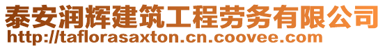 泰安潤輝建筑工程勞務(wù)有限公司