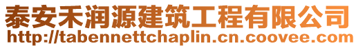 泰安禾潤源建筑工程有限公司