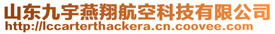 山東九宇燕翔航空科技有限公司