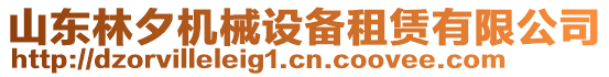 山東林夕機械設備租賃有限公司