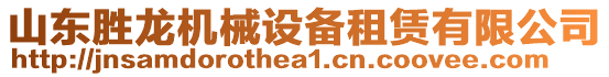 山東勝龍機械設(shè)備租賃有限公司