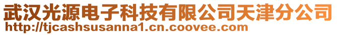 武漢光源電子科技有限公司天津分公司