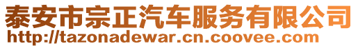 泰安市宗正汽車服務(wù)有限公司