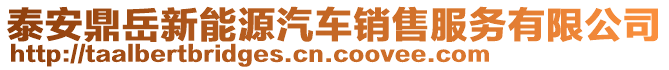 泰安鼎岳新能源汽車銷售服務(wù)有限公司