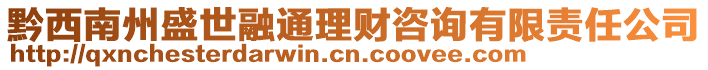 黔西南州盛世融通理財咨詢有限責任公司