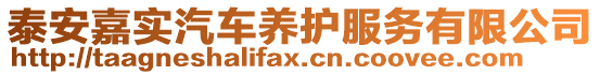 泰安嘉實汽車養(yǎng)護服務(wù)有限公司