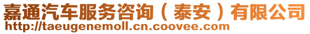 嘉通汽車服務(wù)咨詢（泰安）有限公司