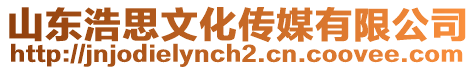 山東浩思文化傳媒有限公司