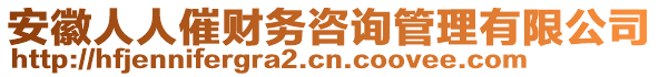 安徽人人催財(cái)務(wù)咨詢管理有限公司