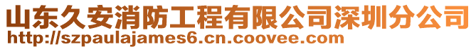 山東久安消防工程有限公司深圳分公司