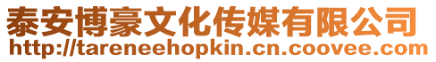 泰安博豪文化傳媒有限公司