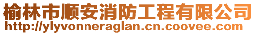 榆林市順安消防工程有限公司