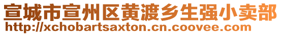 宣城市宣州區(qū)黃渡鄉(xiāng)生強(qiáng)小賣(mài)部