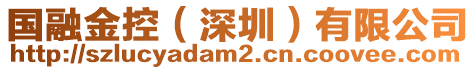 國(guó)融金控（深圳）有限公司