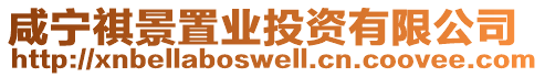 咸寧祺景置業(yè)投資有限公司