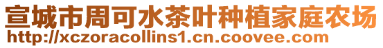 宣城市周可水茶葉種植家庭農(nóng)場