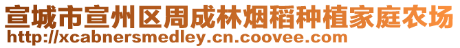 宣城市宣州區(qū)周成林煙稻種植家庭農(nóng)場(chǎng)