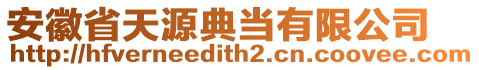 安徽省天源典當(dāng)有限公司