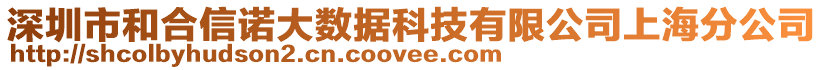 深圳市和合信諾大數(shù)據(jù)科技有限公司上海分公司