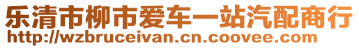 樂清市柳市愛車一站汽配商行