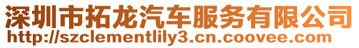 深圳市拓龍汽車服務有限公司