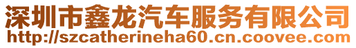 深圳市鑫龍汽車服務有限公司