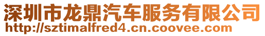 深圳市龍鼎汽車服務有限公司