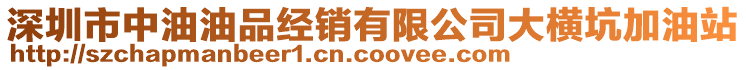 深圳市中油油品經(jīng)銷有限公司大橫坑加油站