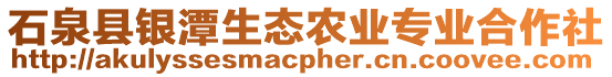 石泉縣銀潭生態(tài)農(nóng)業(yè)專業(yè)合作社