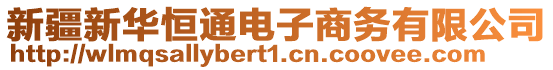 新疆新华恒通电子商务有限公司