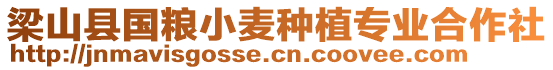 梁山縣國糧小麥種植專業(yè)合作社