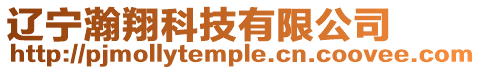 遼寧瀚翔科技有限公司